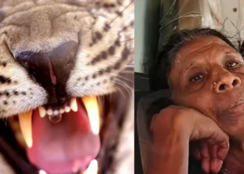 Rabies death Kollam